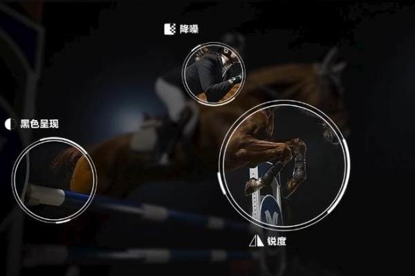 三星AI电视打造“赛场级”家庭运动空间，观赛健身智享不停 