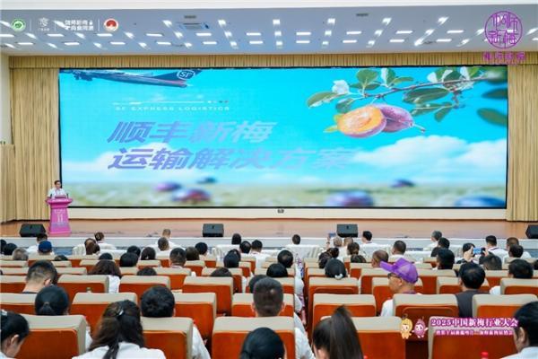 四套组合拳，打通产业链！顺丰冷链干线“全国网”，护航伽师新梅丰收季