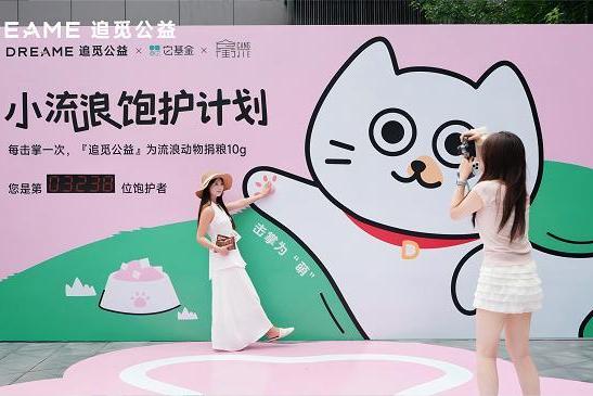 绝育+饱护+全民参与！追觅公益“小流浪饱护计划”打造科学救助新生态 