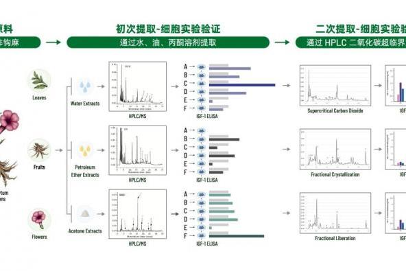 聚焦学术前沿，共话儿童健康，天津市医学会2025儿科学术年会即将召开！ 