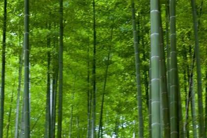 超高防潮丨性能与美学兼具，这张好板更懂健康生活 