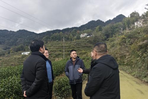 倾听来自大山深处的声音，让通信服务没有壁垒 