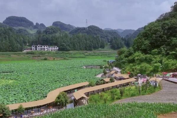 普定第九届水井乡村嘉年华启幕 