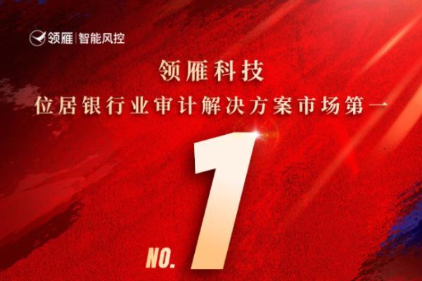 中国银行业审计：领雁科技审计系统市场份额蝉联第一 