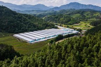 溯源新高度！鲜朗联合《中国国家地理》探秘武夷山鲜工厂，重新定义宠物食品透明标准 