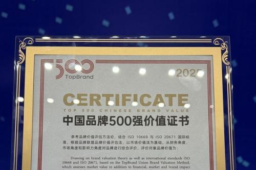 英科医疗上榜TopBrand 2025中国品牌500强 位居细分行业首位