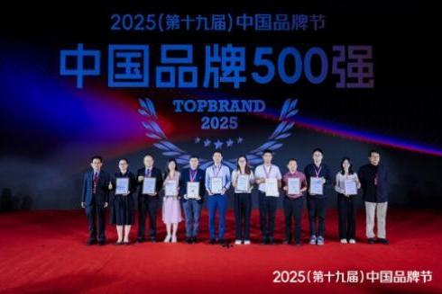 英科医疗上榜TopBrand 2025中国品牌500强 位居细分行业首位
