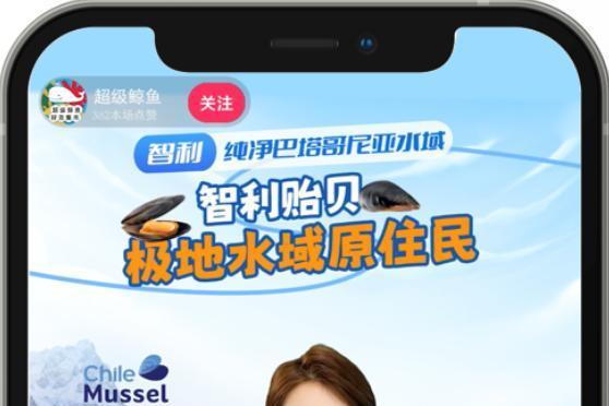 智利贻贝协会引领行业革新，拥抱科技未来 