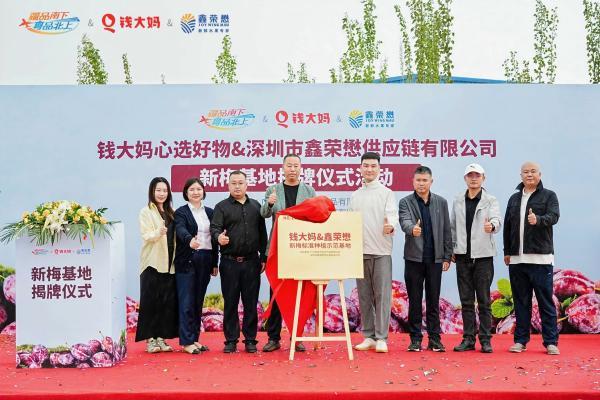 钱大妈携手鑫荣懋新疆共建西梅基地，推动“疆品南下”提质升级 