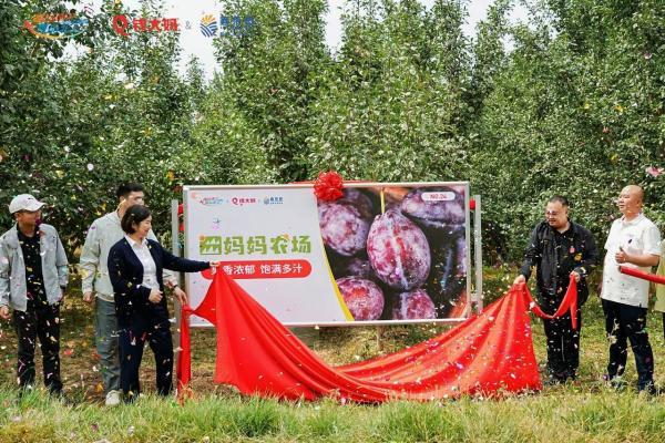 钱大妈携手鑫荣懋新疆共建西梅基地，推动“疆品南下”提质升级 