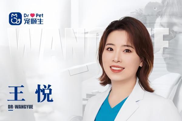 11岁猫咪的生命接力：新瑞鹏旗下宠颐生宠物医院沈阳中心医院的救援实录 