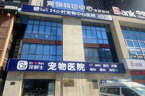 11岁猫咪的生命接力：新瑞鹏旗下宠颐生宠物医院沈阳中心医院的救援实录 