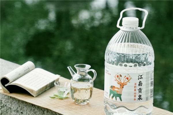 洞庭山集团多品类落子，稳健踏上第二增长曲线 