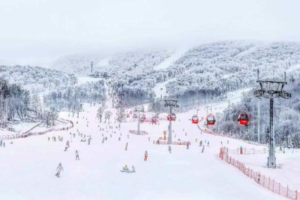 冰雪经济又一重大项目！中旅国际收购吉林松花湖滑雪度假区 