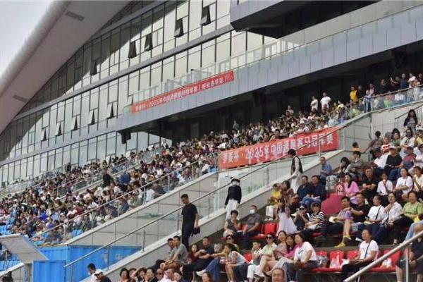 罗麦科技：体育精神赋能 深耕大健康产业 