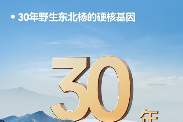 鹏鸿板材：以北方板材标准重塑品质格局，定义抗裂稳定新高度 