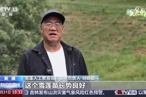 央视聚焦报道！金天国际雪莲繁育技术再获突破 
