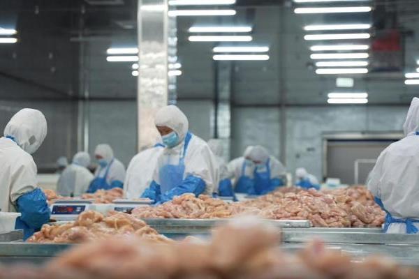 供应链优势解码：大鼓米线500 +门店稳健扩张背后的逻辑与支撑 