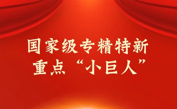 卓世科技荣膺国家级重点 “小巨人” 企业称号 