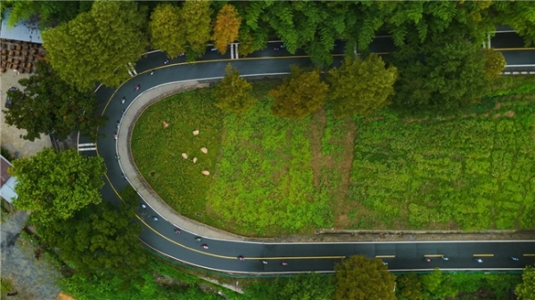 车轮上的山水画卷：2025“犀旺杯”环黄山国际公路自行车赛火热进行中