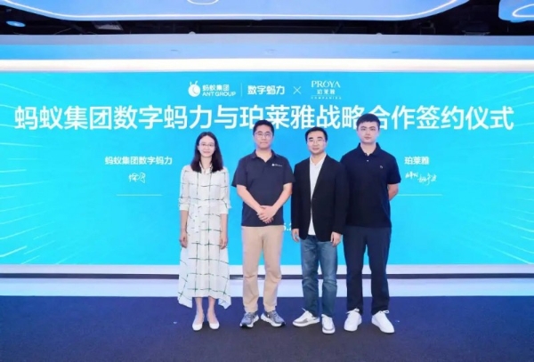 战略升维与生态协同：珀莱雅全面推进数字化转型 