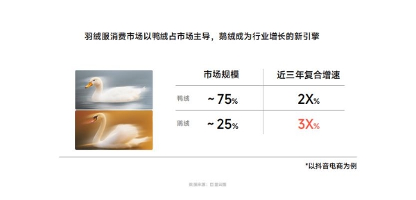 从保暖单品到科技服饰，六维标准重塑鹅绒服行业价值生态