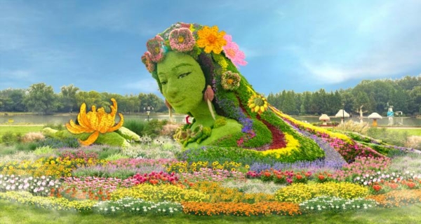 菊香漫京城，游园享金秋！顺义鲜花港2025北京菊花文化节邀您共赴“雅赏” 