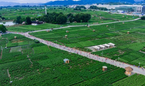 2025 横州茉莉花越野跑鸣枪开跑，“最香赛道” 激活“世界茉莉花都”产业活力 