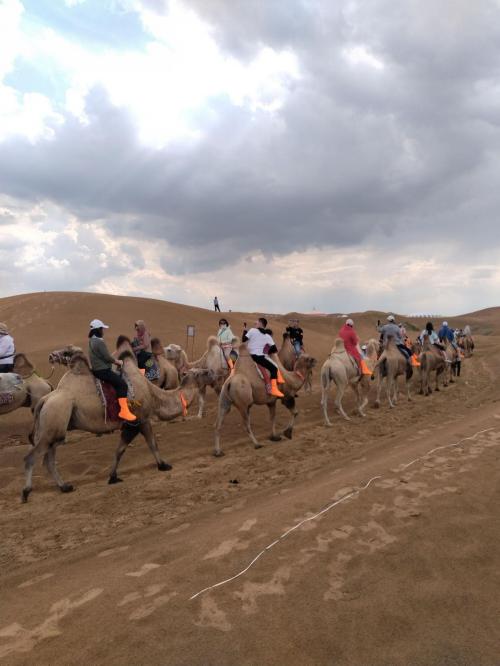 幸福世家旅行社：贴心服务+安全保障，打造完美旅行体验 