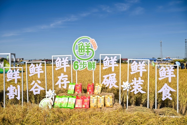 巅峰较“粮”，超越“世界米王”日本越光米，金龙鱼6步鲜新米上市 