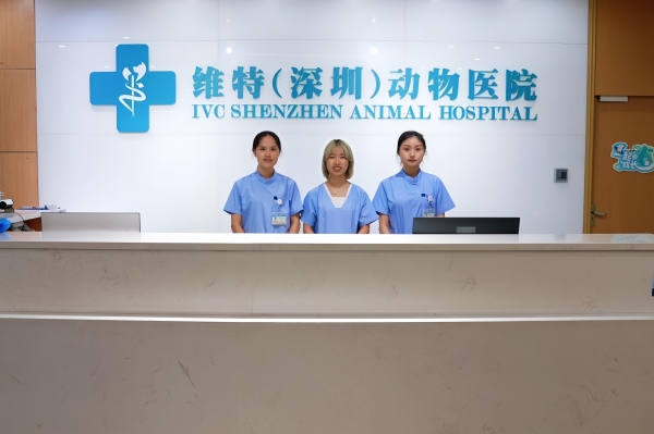 新瑞鹏集团携手腾讯公益“久久公益节”，以专业医疗守护导盲犬健康 