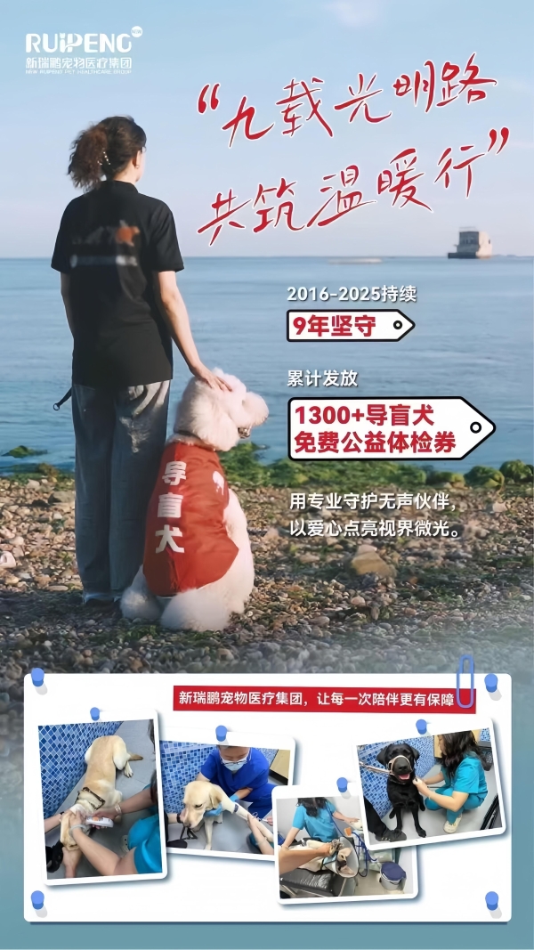 新瑞鹏集团携手腾讯公益“久久公益节”，以专业医疗守护导盲犬健康 