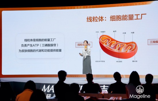 麦吉丽定义亚洲肌肤抗衰新标准，全球首发多组学抗衰指南 