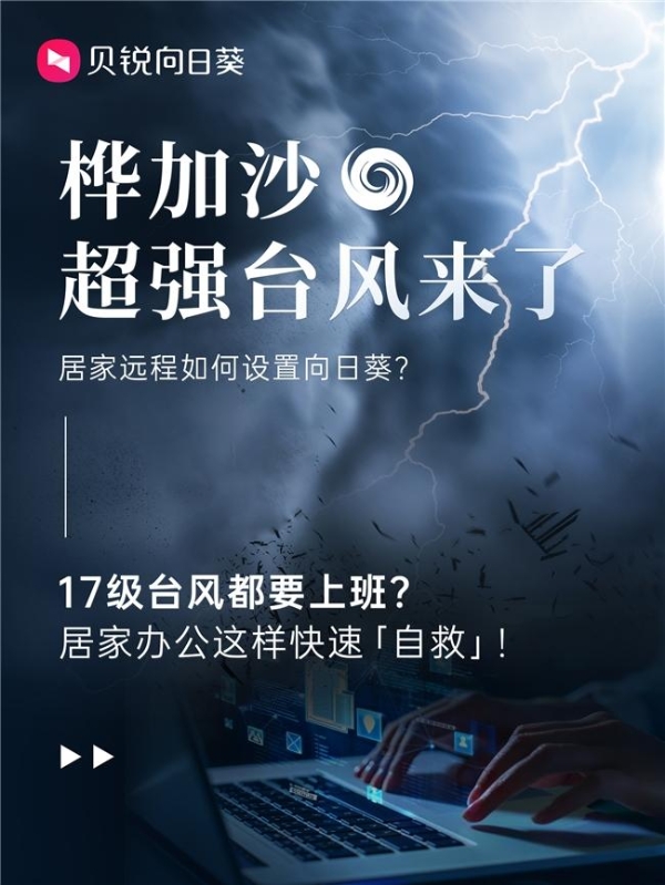 桦加沙来了！教你三步用向日葵远程控制公司电脑、居家办公！ 