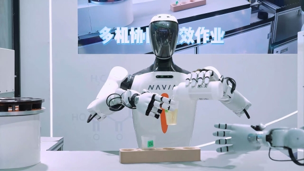 人形机器人进入3万元时代：WRC 2025的产业化分水岭 