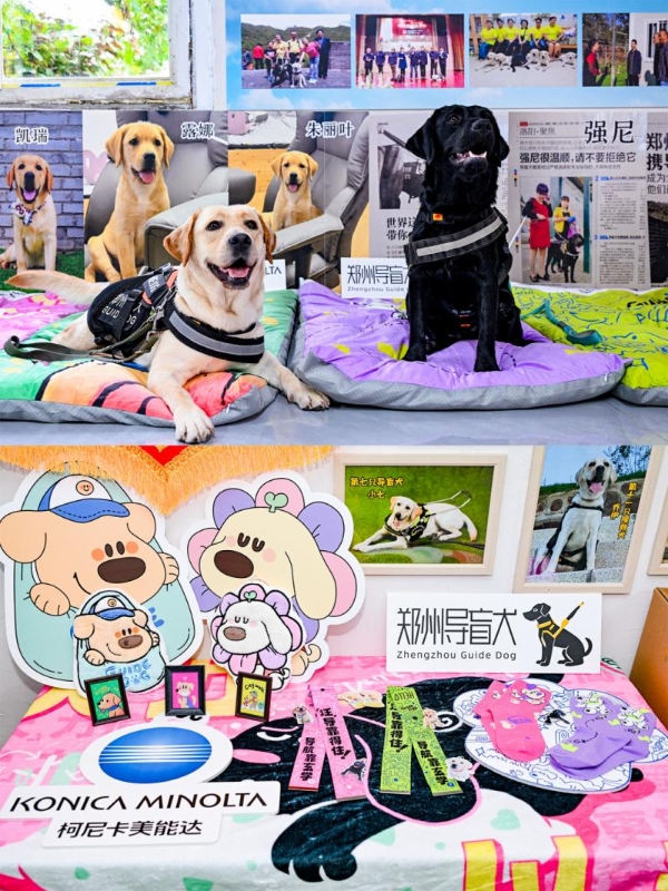 柯尼卡美能达五载深耕导盲犬公益，再续温暖支持郑州导盲犬服务中心 