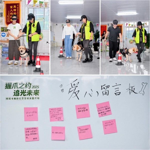 柯尼卡美能达五载深耕导盲犬公益，再续温暖支持郑州导盲犬服务中心 