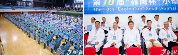 第十届“雄鹰杯”小动物医师技能大赛圆满闭幕，共筑兽医人才培养新篇章 