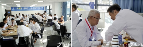 第十届“雄鹰杯”小动物医师技能大赛圆满闭幕，共筑兽医人才培养新篇章 