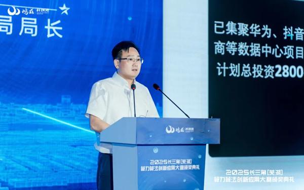 智算之城加速进阶，2025长三角（芜湖）算力算法创新应用大赛颁奖典礼圆满落幕 