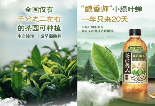 上市即售罄，茶的传人这款爆品藏着无糖茶的破局密码 