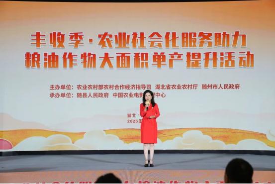 粮油提单产，随县添活力，看农服“汇”就丰收图景！