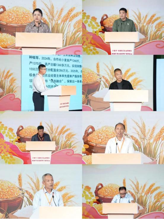 粮油提单产，随县添活力，看农服“汇”就丰收图景！