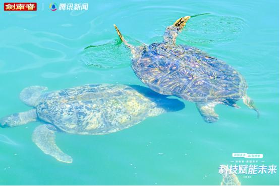 强国青年研学之旅：青春对话科技，共绘强国蓝图 