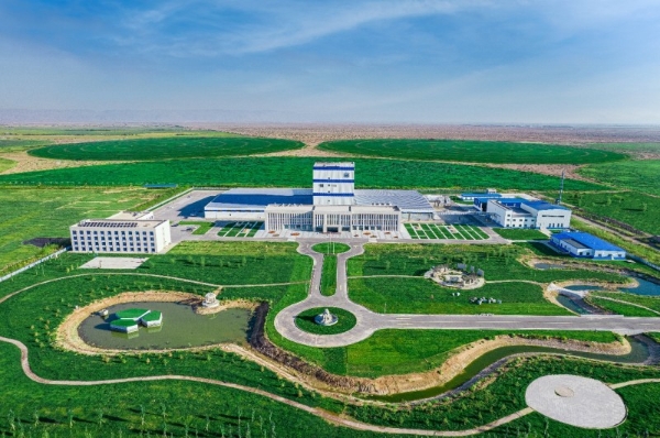 天生低敏 沙漠有机，益婴美亮相第十七届全国营养科学大会，展示中国婴幼儿营养创新成果 
