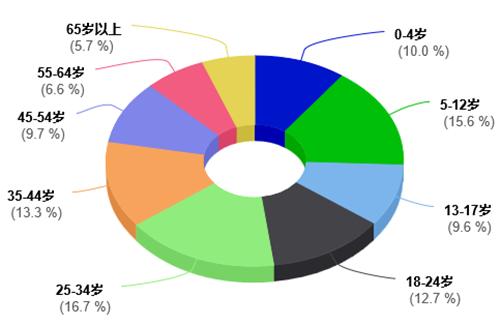“天空之国”玻利维亚电商崛起，顺友物流专线助力卖家掘金南美！ 