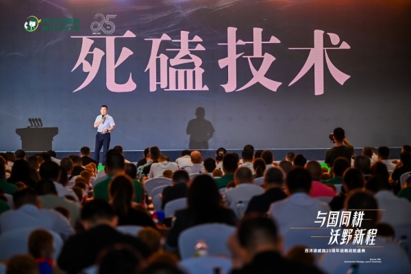 西洋诺威施贾启彬：“溯源、破局、谋远”的发展三部曲 