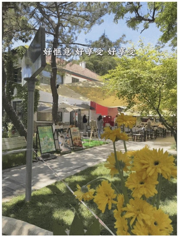 现在的好餐厅，都懂点氛围经济学 