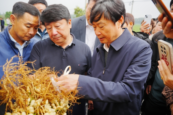 梅开二度！胡姬花再度联袂李培武院士团队科技守护“舌尖”安全问题 