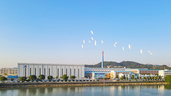 维达荣膺广东省政府质量奖提名奖，夯实品质与创新